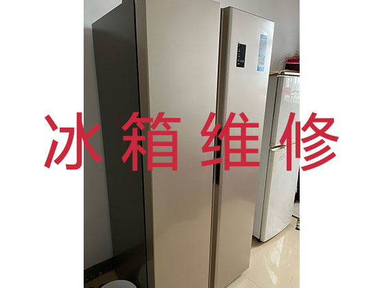 重庆电冰箱维修服务